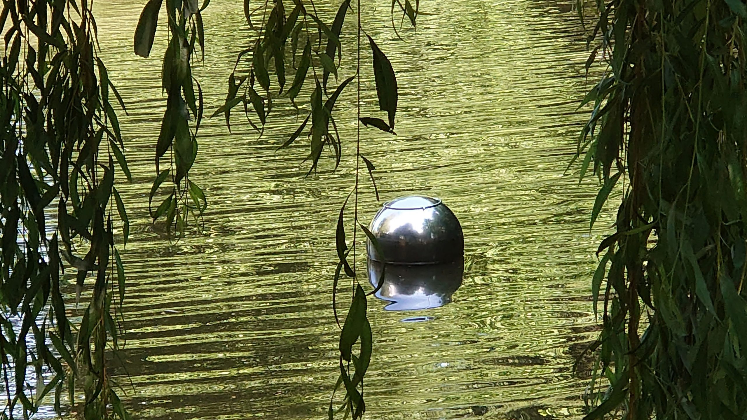 Schwester Wasser